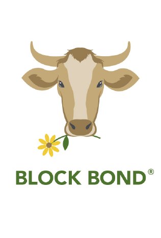 Block-Bond_Logo.jpg