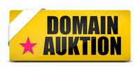 Domain Auktion