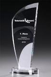 Telematik Award 2010