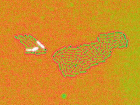 250402_agar_pads_MP7_crop3_2_rainbow_dark_white_rotated_01.jpg