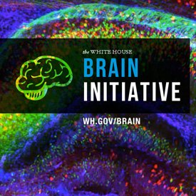 pi-0126-2014_brain-initiative.jpg