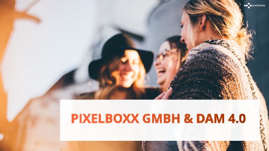 Pixelboxx_DAM 4.0.pdf