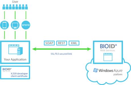 Developers of web, cloud and mobile applications can securely access BioID Web Services using SOAP and RESTful APIs.