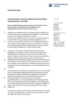 PM 12_20 Statement Konjunkturpaket Corona.pdf