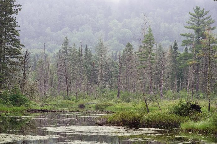 Depositphotos_Landschaft_Quebec_CONNEKTAR.jpg