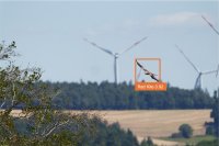 Visualisation of bird detection by AVES Wind via species recognition AI (Artificial Intelligence) with indication of probability