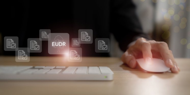 Bild pr supplycanvas.jpg