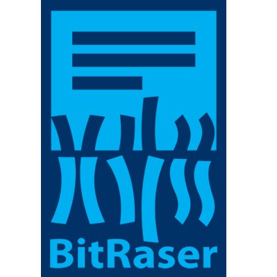 BitRaser Logo Large.png