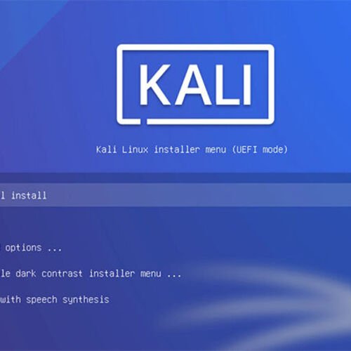 Erste Schritte mit Kali-Linux