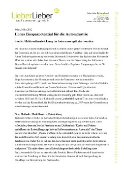 LieberLieber_Einsparpotenziale_032012.pdf