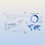 Elastic Laminate Market Growth Outlook by 2026-2036