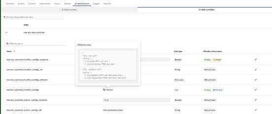 screenshot-2-2 - overview host specigic variables - orcharhino-7-11.png