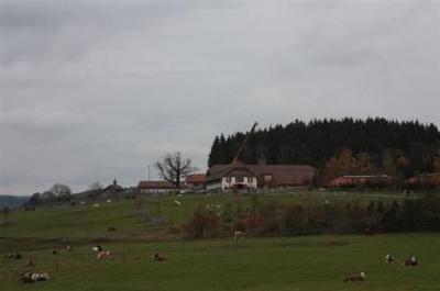 Gut Aiderbichl schützt Tiere und Klima