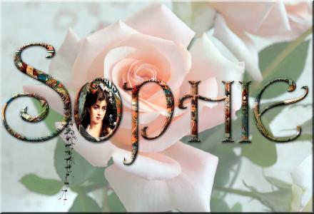 Unter den MT-Domains ist der Name "Sophie" noch frei