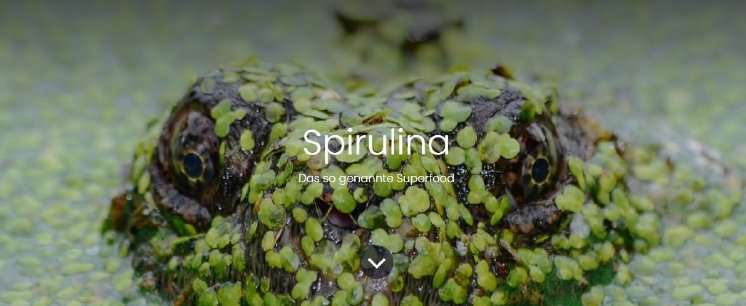 spirulina.JPG