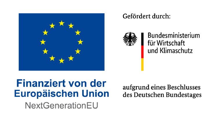 BMWK-EU_Gefo╠êrdert2023_de_RGB (1).jpg