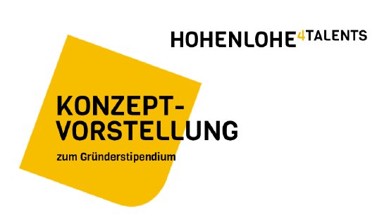 Konzeptvorstellung_Hohenlohe-4-Talents.pdf