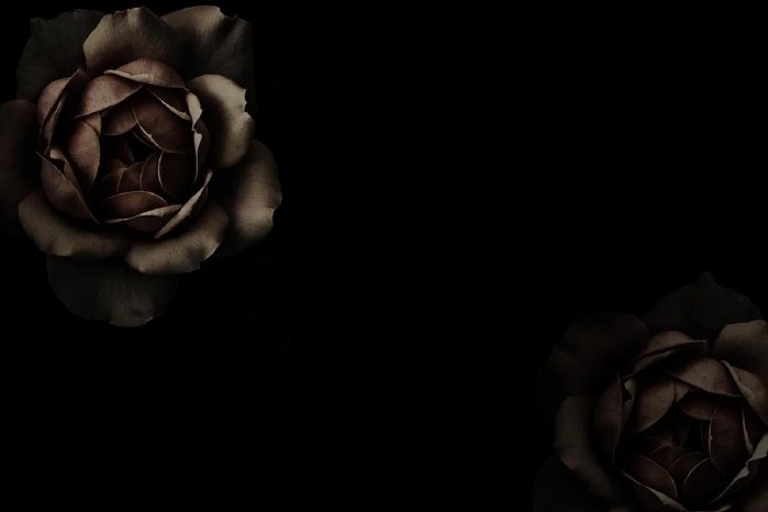 sympathy-card-7559731_1280-1199x799.png