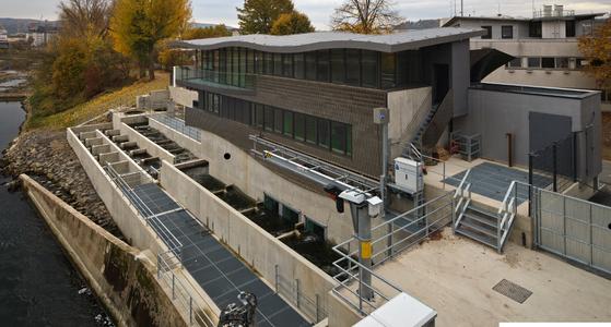 Das vom Koblenzer Architekturbüro von Canal geplante Besucherzentrum "Mosellum" schließt an die neue Fischwechselanlage an der Staustufe Koblenz an. Der Neubau beherbergt eine interaktive Ausstellung zu den Themen Gewässerökologie, Schifffahrt und Wasserkraft / Caparol Farben Lacke Bautenschutz/Martin Duckek
