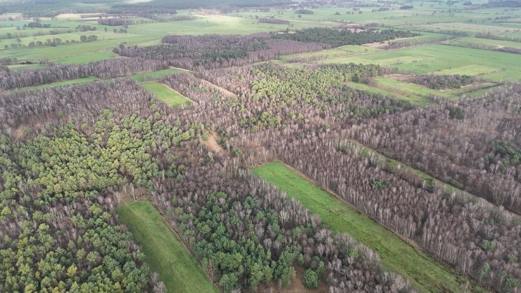 Rehburger Moor_1_Foto Marcel Hollenbach.JPG
