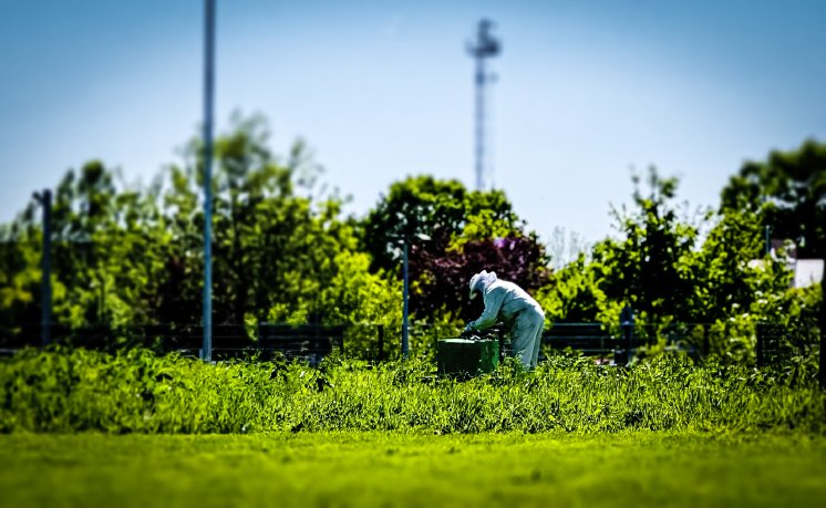 Imker_Bienen_Nachhaltigkeit_quer.jpg