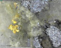 Sichtbares Gold in einem Bohrkern vom RC Gold-Projekt