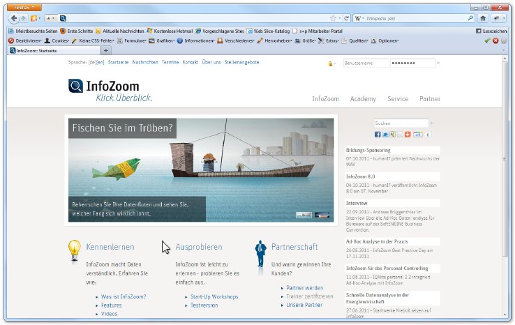 Screenshot Website.jpg