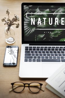 ecology-fresh-lush-natural-nature.jpg