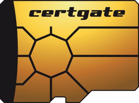 SmartCard-microSD_2010-12.jpg
