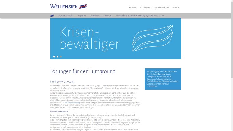 Wellensiek Homepage.png