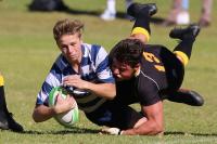 Rugby-Domains