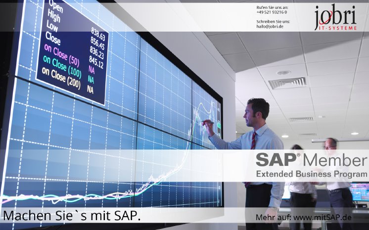 JOBRI - SAP Business One - mitSAP.de Bild03.jpg