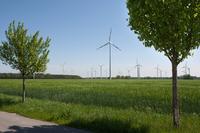 Speicherung notwendig: Knapp 800 Megawatt Anschlussleistung haben die im WEMAG-Netz installierten Ökokraftwerke