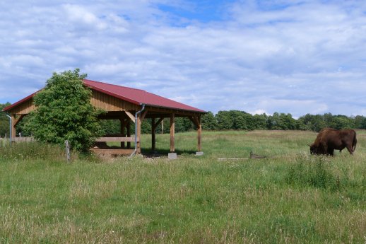 Luxmetalldach im Wildpark Schorfheide.jpg