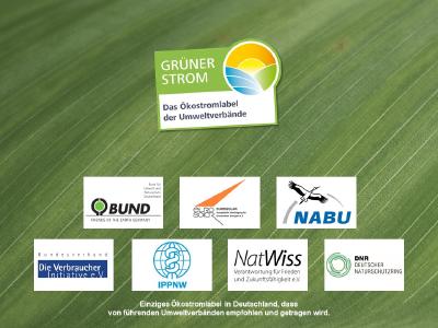 Wachsender Ökostrommarkt, Verbrauchertäuschung und stagnierende Energiewende
