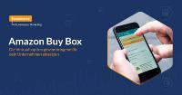 Amazon Buy Box gewinnbringend einsetzen - Wir zeigen Dir wie