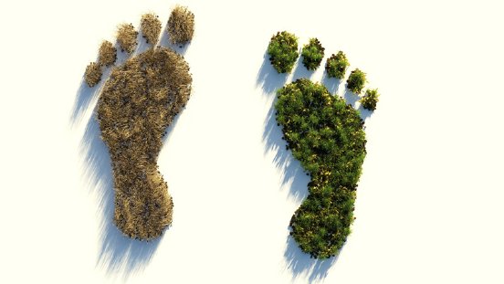 ecological-footprint-800.jpg
