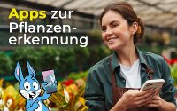 Apps zur Pflanzenerkennung im Vergleich: Ein Botaniker in der Hosentasche - was blüht denn da? 