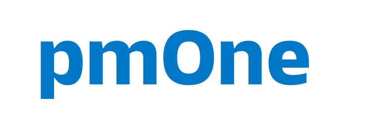 Logo pmOne gross-invers.png