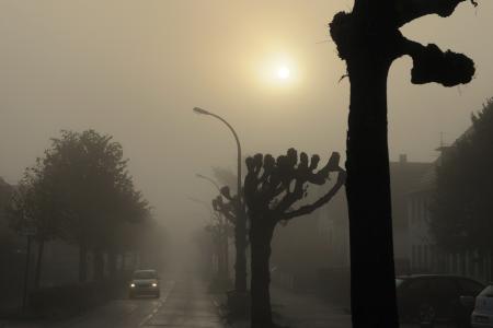 Nebel