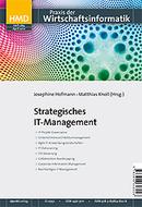 Strategisches IT-Management