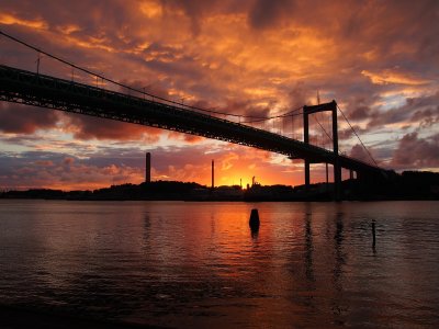 Master-Studierende der Hochschule Stralsund analysieren auf einem Kreuzfahrtschiff die Veränderung touristischer Produkte in Krisenzeiten und legen unter anderem in Göteborg an. Das Bild zeigt die dortige Älvsborg-Brücke.
