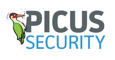 picus-new-logo-high-res.png