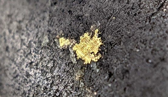 Gold Terra - Visible Gold main-zone_L.jpg