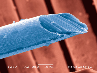 REM-Aufnahme einer Textilfaser, auf die Nanopartikel aufgebracht wurde, um den UV-Schutzfaktor zu erhöhen
