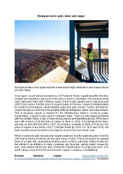 11.02.2025 Preisanstieg bei Gold Silber und Kupfer en.pdf