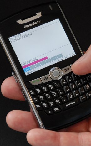 blackberry1250x2000.jpg