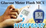 Glucose_Meter_Flash_MCU_HT45F65_67.jpg