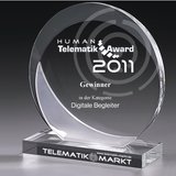Pokal Telematik Award human 2011