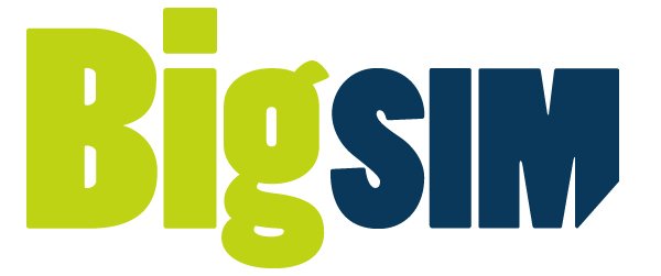 Logo_BigSIM_gr[1].jpg